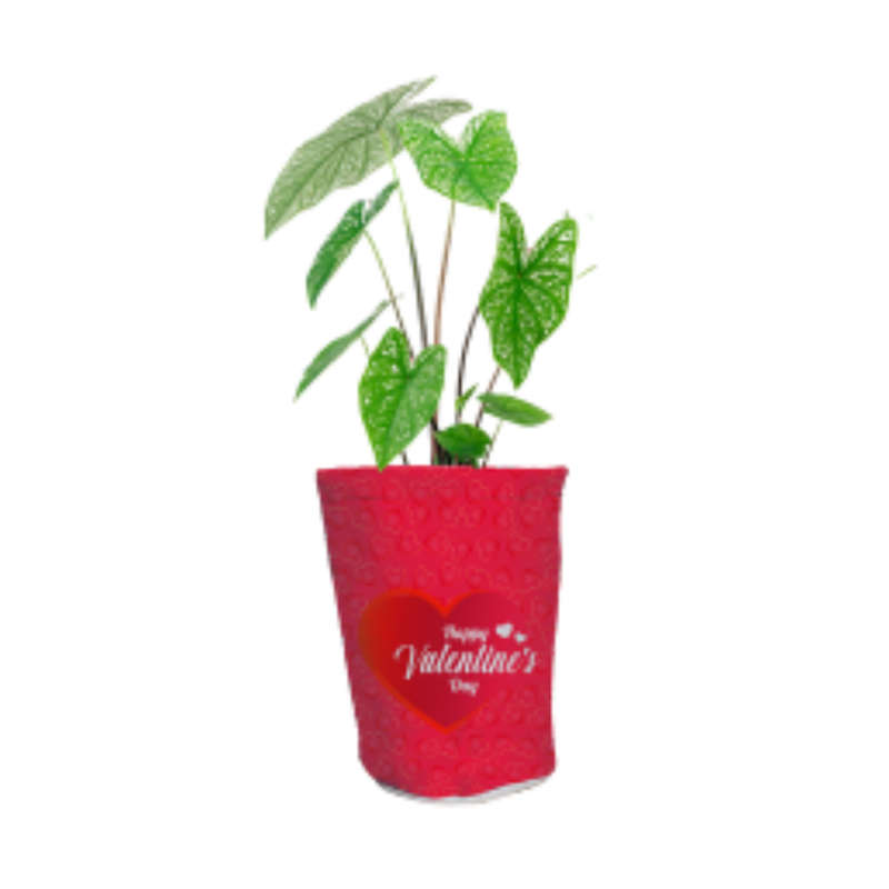 Hot Pockets Mini Canvas / Faux Leather Mix Pot Plant Holder
