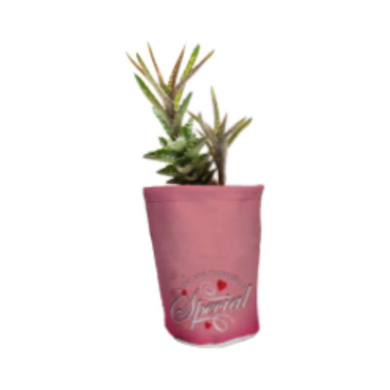 Hot Pockets Tiny Canvas / Faux Leather Mix Pot Plant Holder