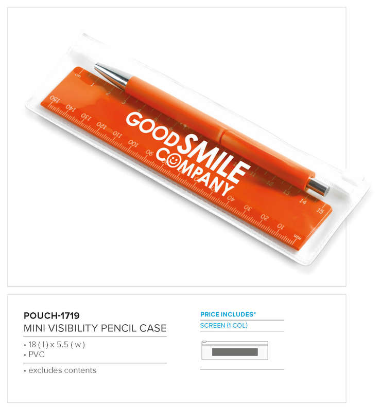 Mini Visibility Pouch (Excludes Contents)