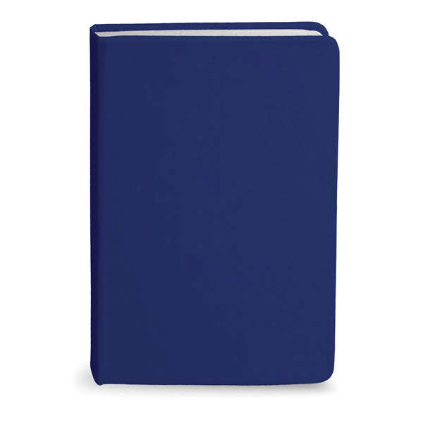 Bingham Notebook