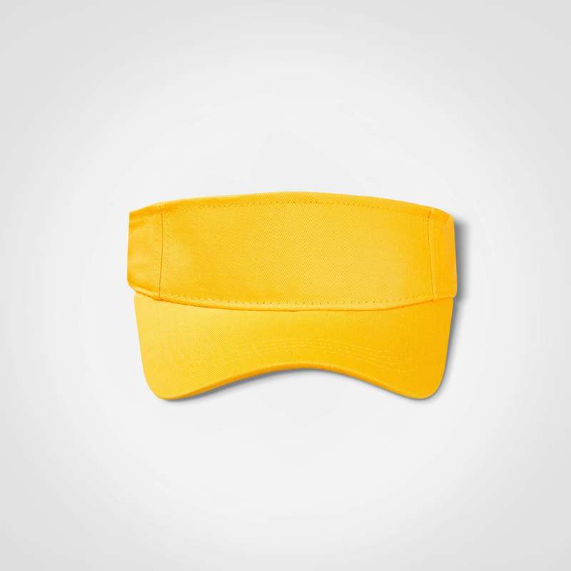 Sunvisor