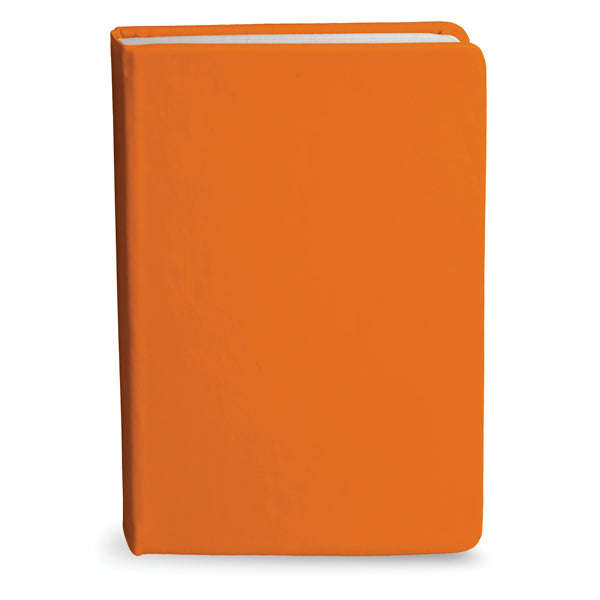 Bingham Notebook