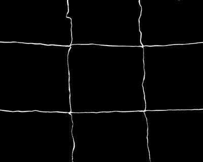 Trellis Netting - 1.5m x 4.5m