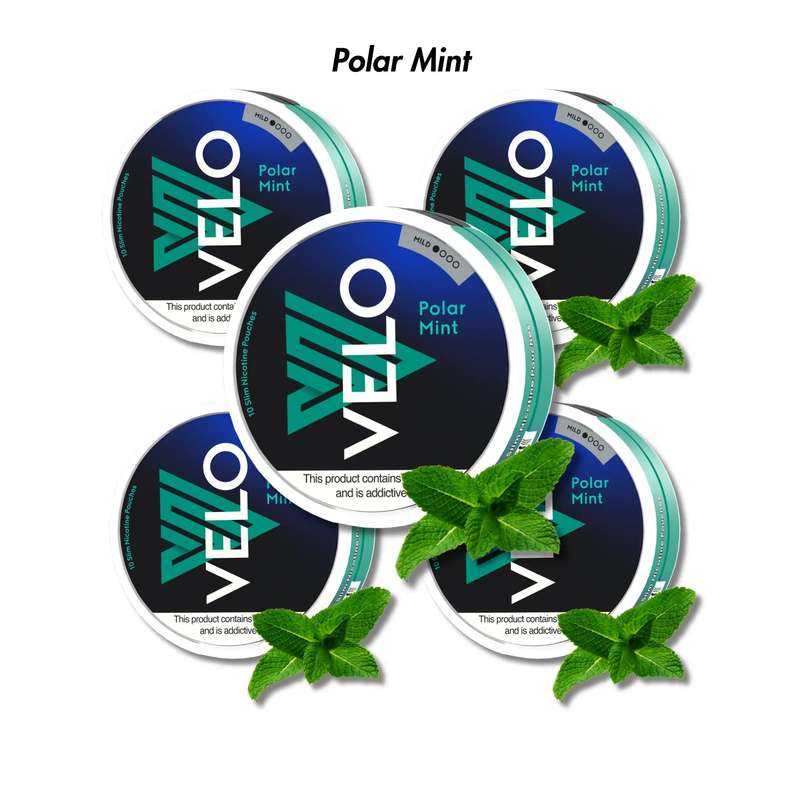 5-Pack VELO Nicotine Pouches Bundle - Mild 4mg