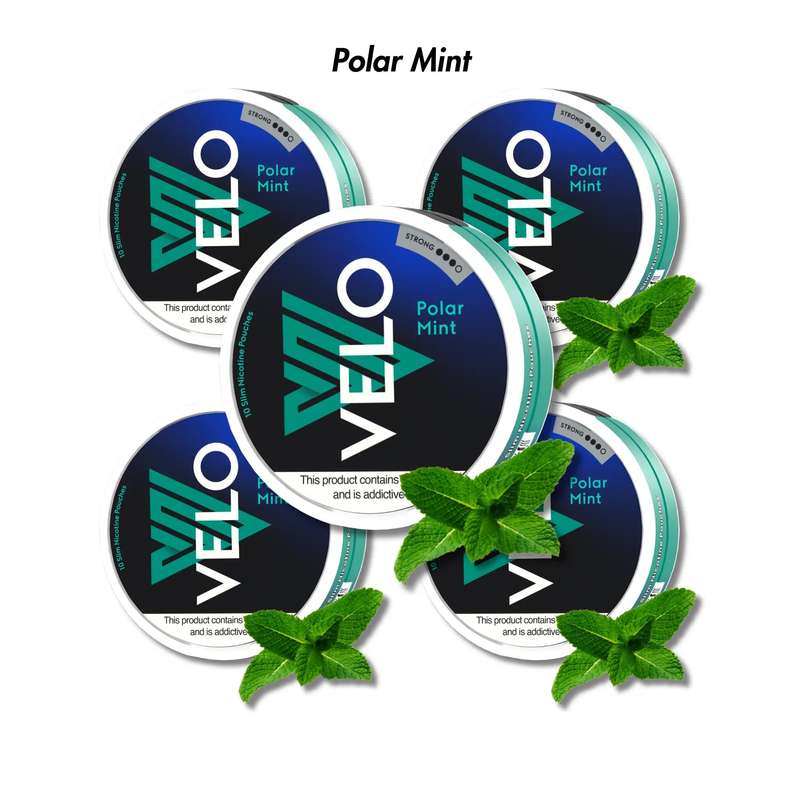 5-Pack VELO Nicotine Pouches Bundle - Strong 10mg