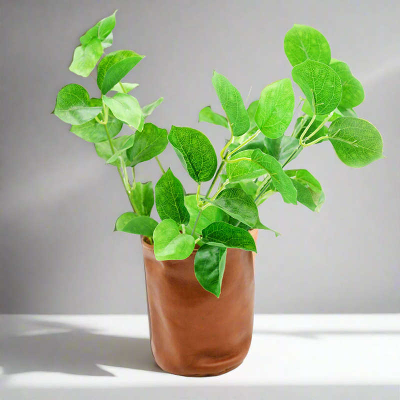 Leather Plant holder