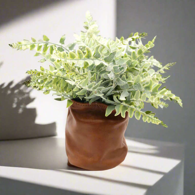 Leather Plant holder