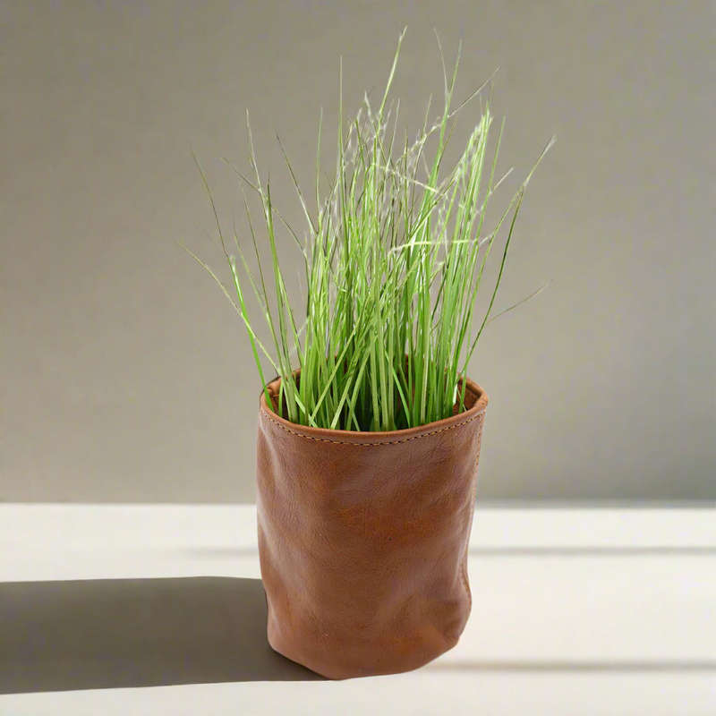 Leather Plant holder