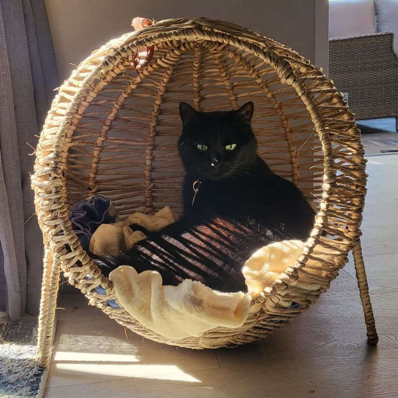 Kukon - Luxury Pet Baskets MEDIUM