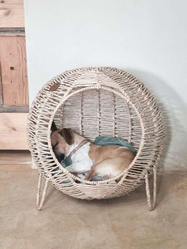 Kukon - Luxury Pet Baskets - LARGE