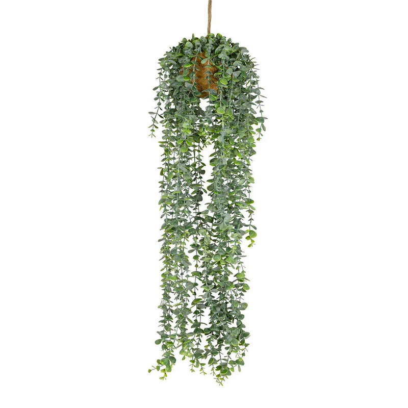 Hanging Plant - Classic