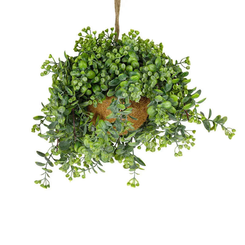 Hanging Plant - Eucalyptus Seeds