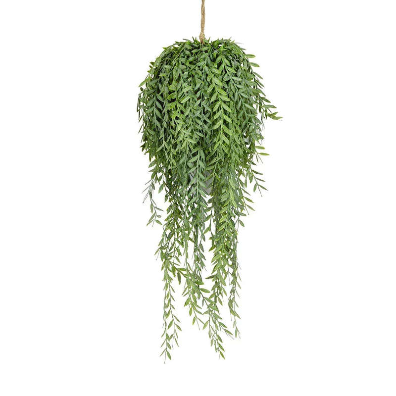 Hanging Plant - Flourishing Leaves
