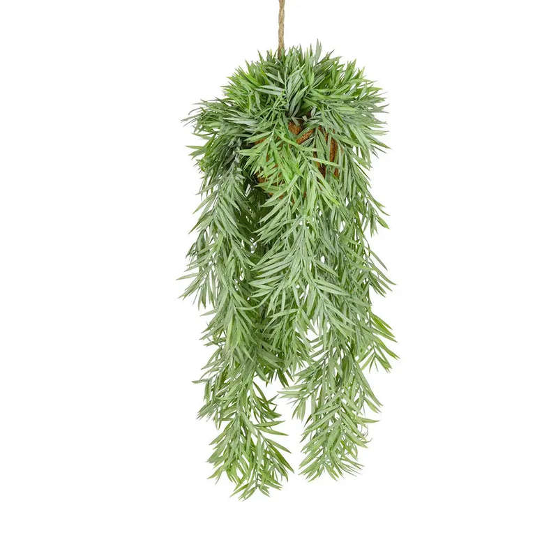 Hanging Plant - Palm Frond