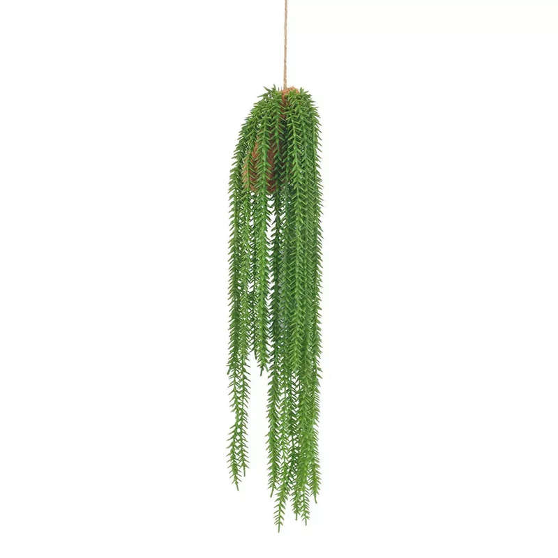 Hanging Plant - Succulent Strings