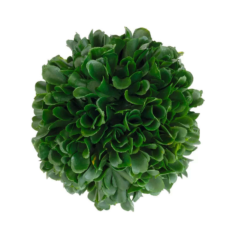 Herb Ball - Curly 10cm