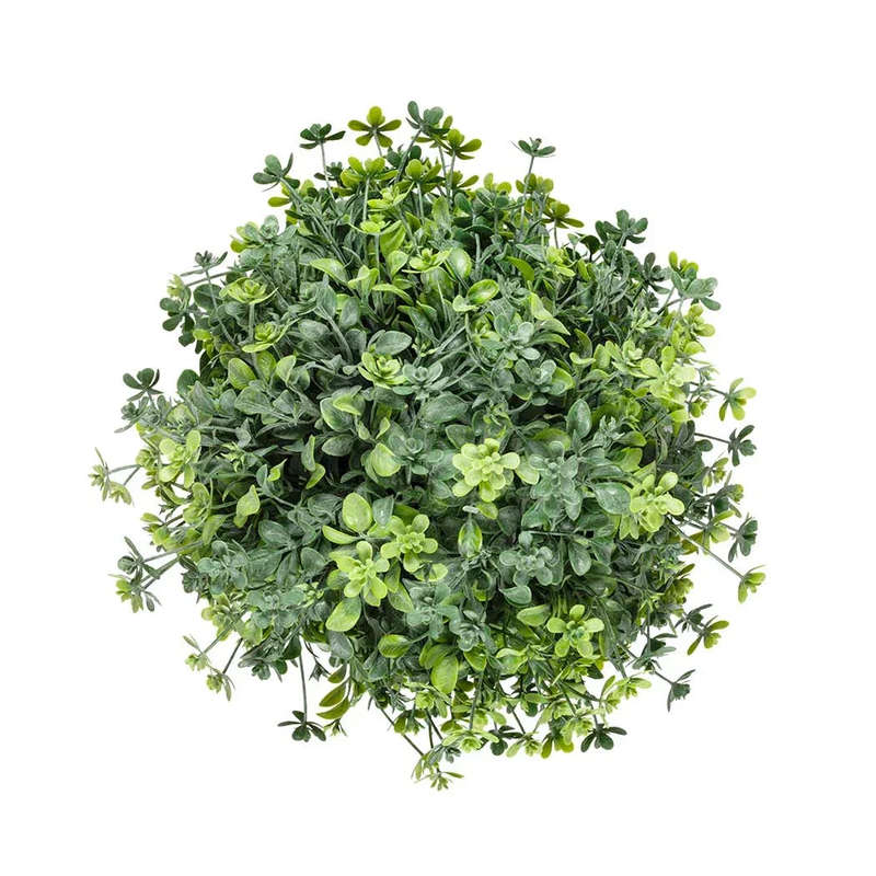 Herb Ball - Sprouts 21cm