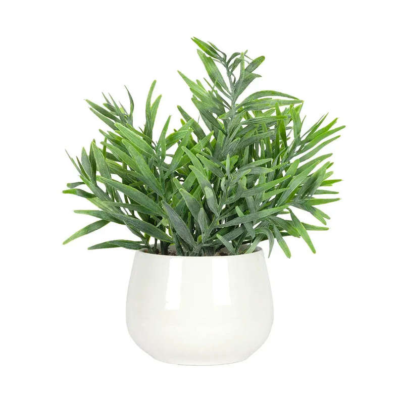 Herb Bush - Potted Ceramic
