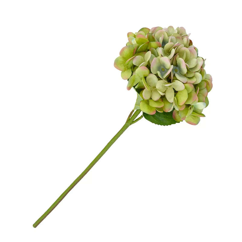 Hydrangea - Blue, Pink & Light Green