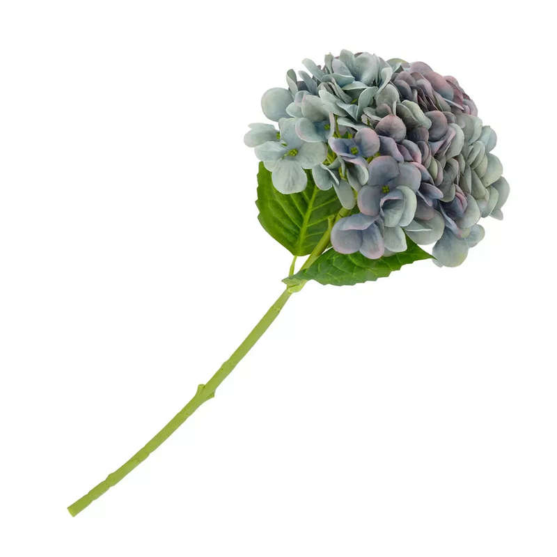 Hydrangea - Blue & Pinks