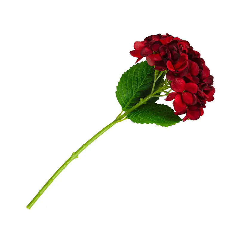 Hydrangea - Deep Red