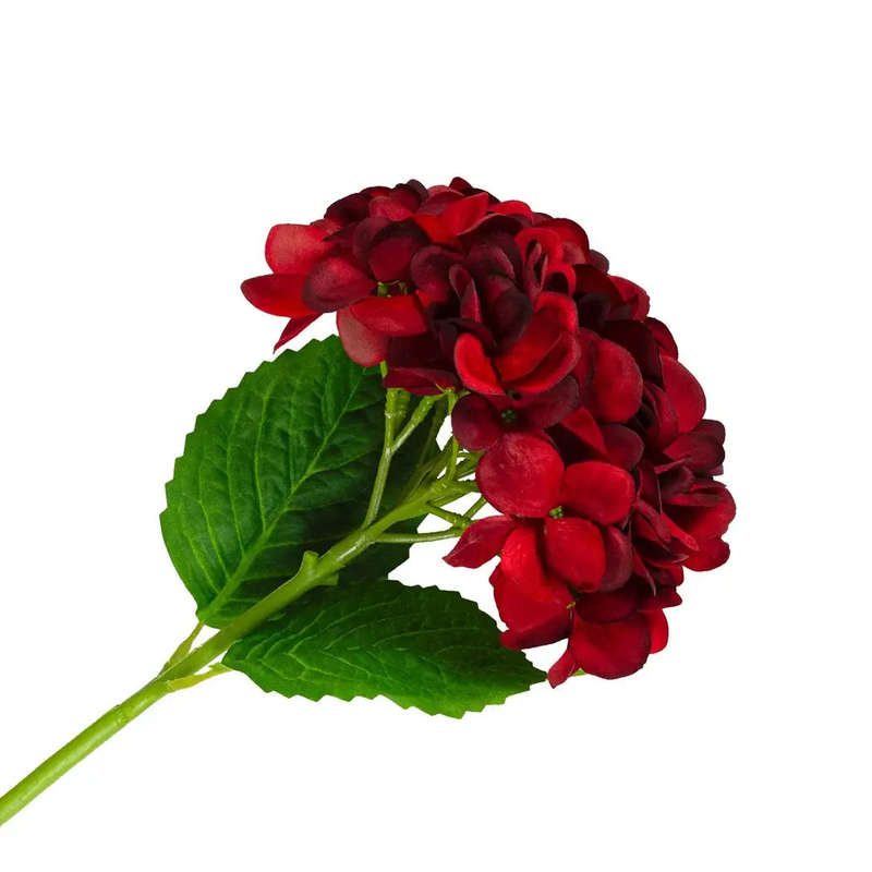 Hydrangea - Deep Red