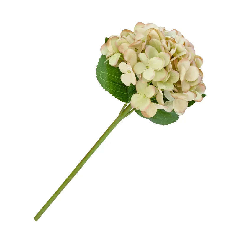 Hydrangea - Light Green & Pinks