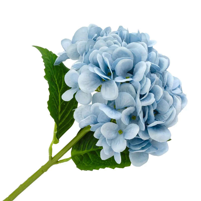Hydrangea - Powder Blue