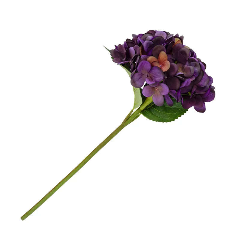 Hydrangea - Purple Velvet