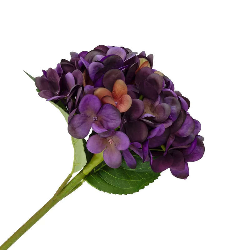 Hydrangea - Purple Velvet