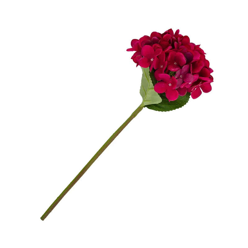 Hydrangea - Velvet