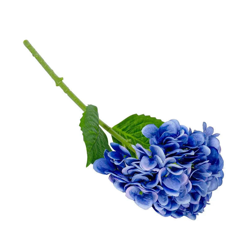 Hydrangea - Vivid Blue