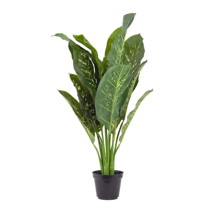Leopard Lily 70cm