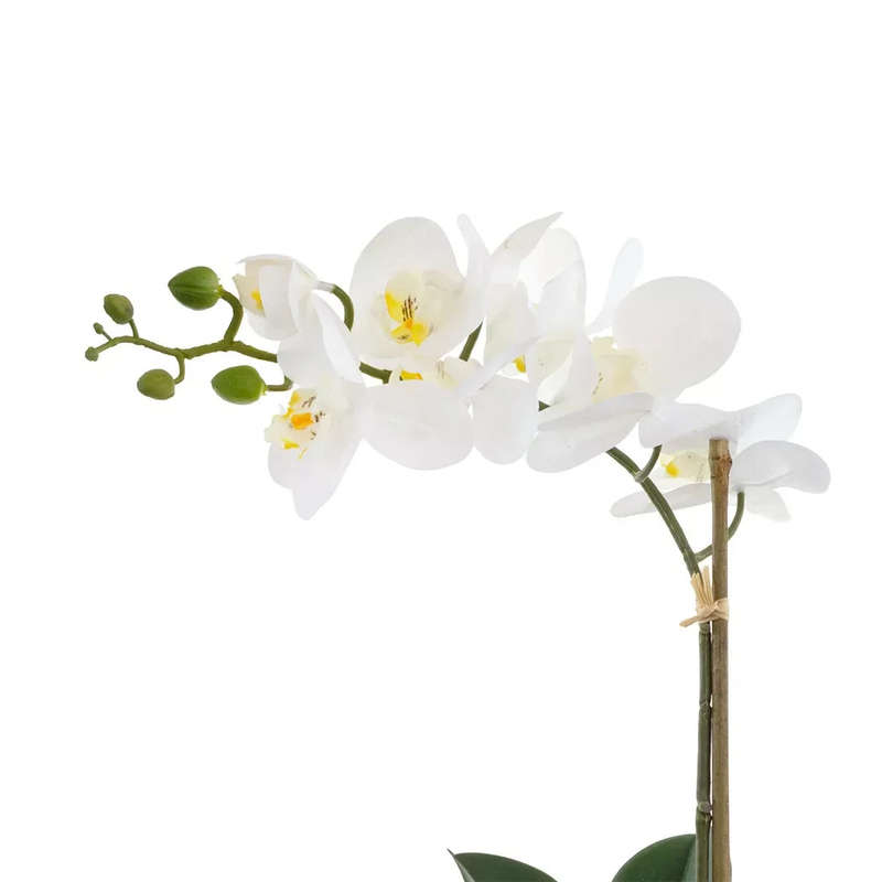 Orchid - Lined Ceramic Pot 47cm