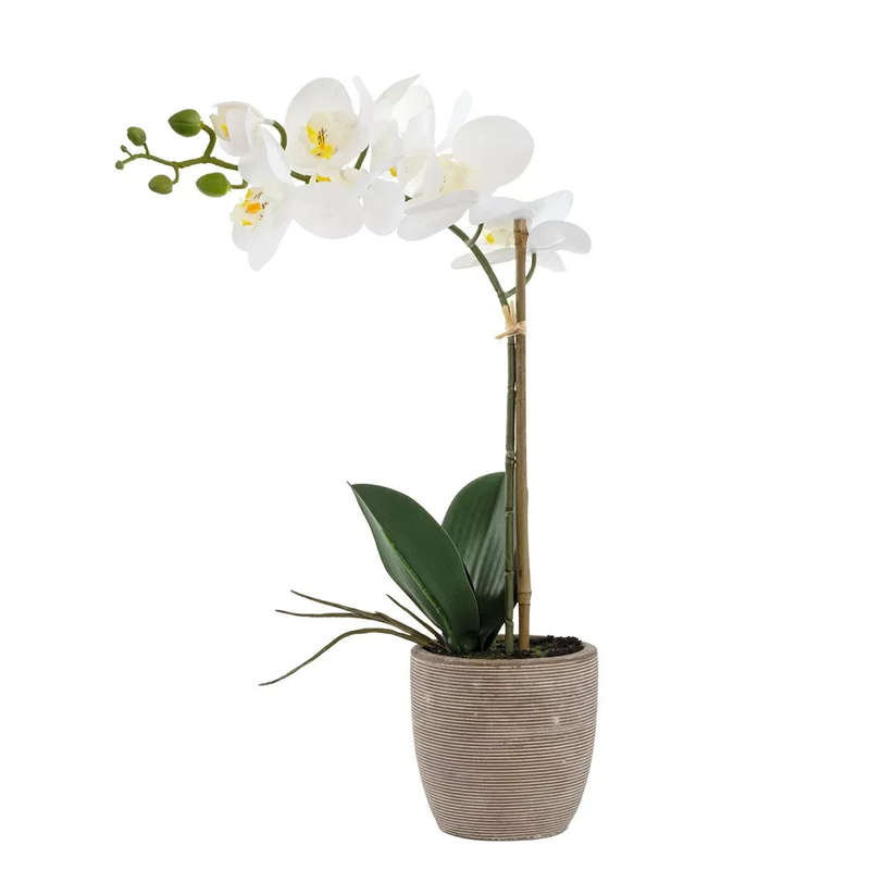 Orchid - Lined Ceramic Pot 47cm