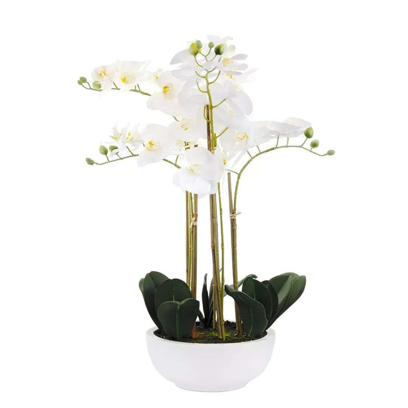 Orchid - Smooth Ceramic Planter XL