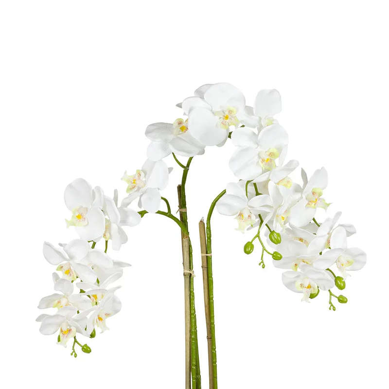 Orchid - Triple White Real Touch 72cm