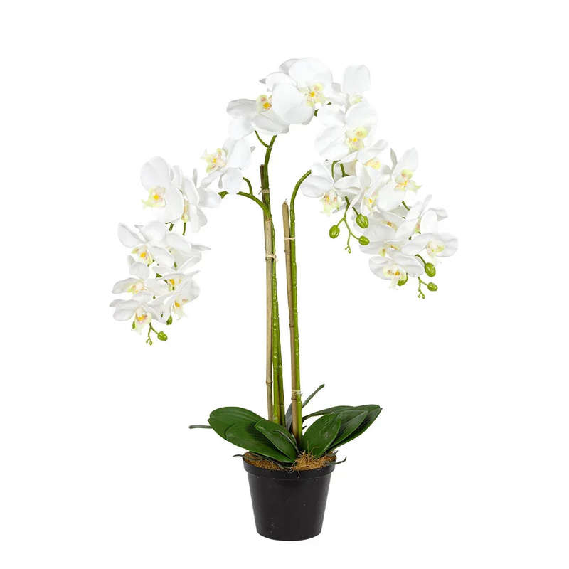 Orchid - Triple White Real Touch 72cm