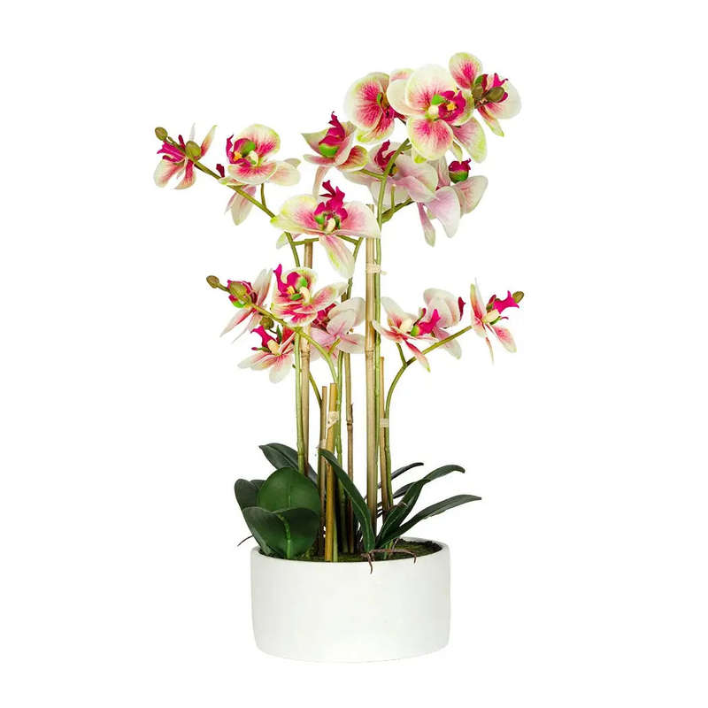 Orchid - Vivid Potted Ceramic 58cm