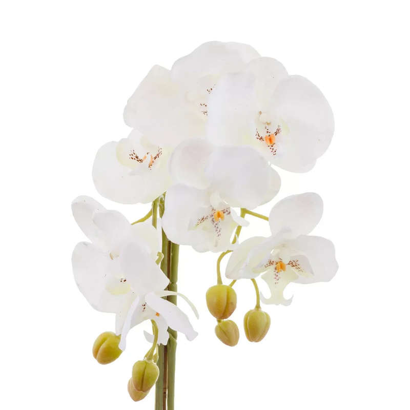 Orchid - White Dual Pebbles 51cm