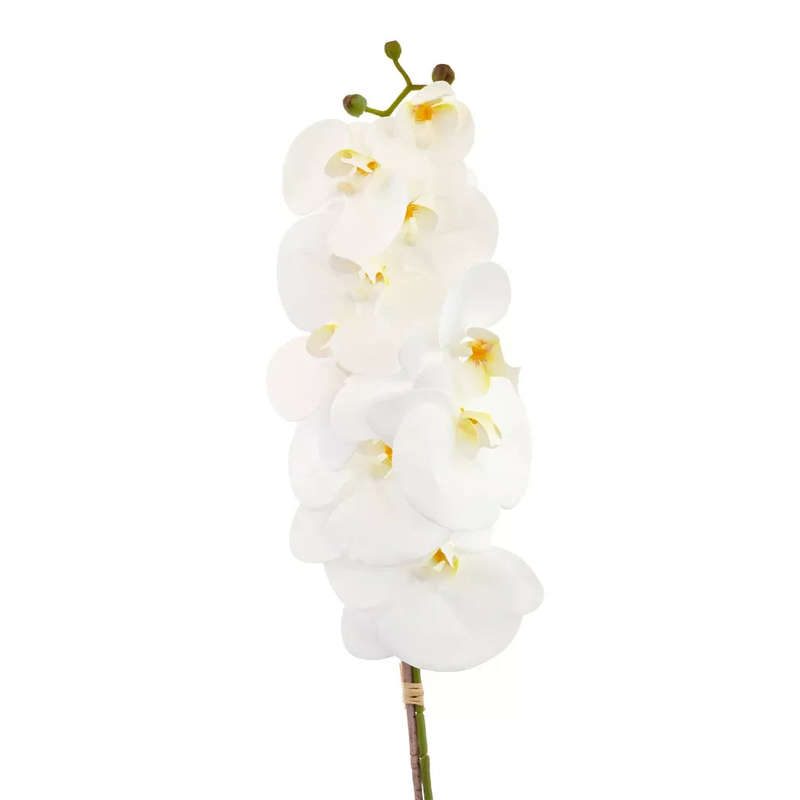 Orchid - White Tall 72cm