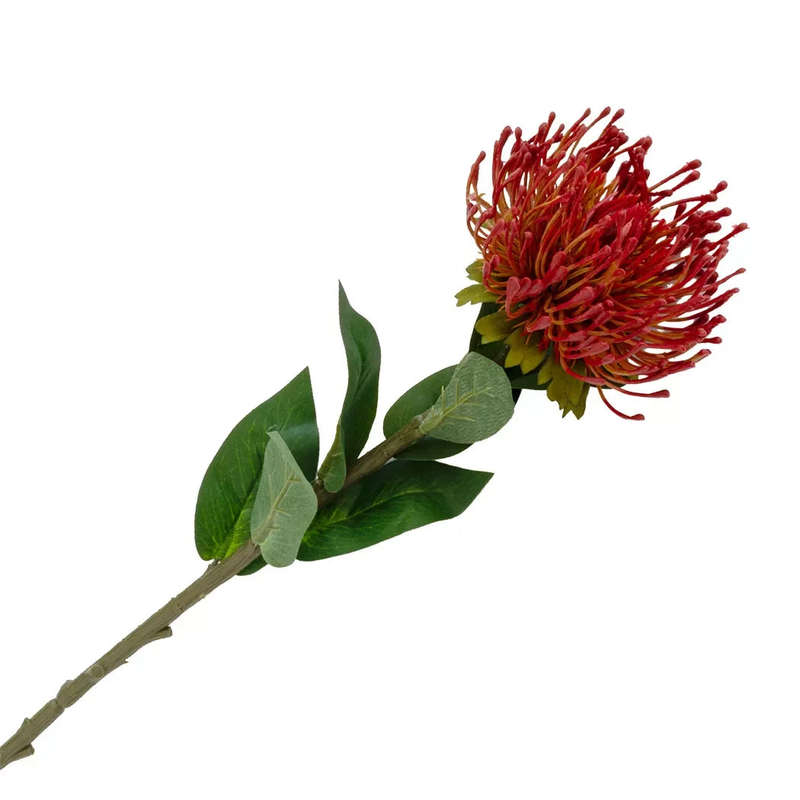 Pincushion Stem - 74cm Red