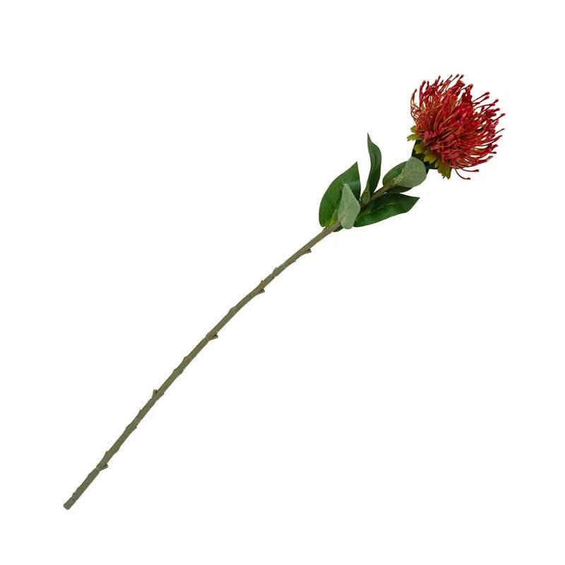 Pincushion Stem - 74cm Red