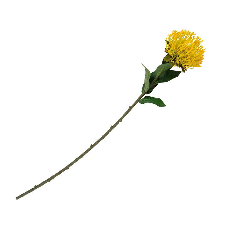 Pincushion Stem - 74cm Yellow