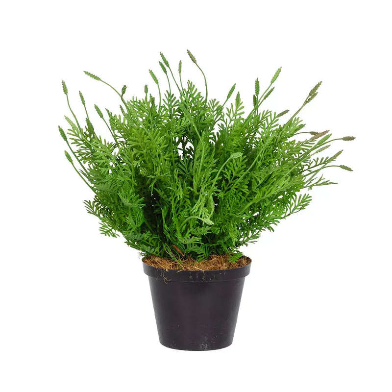 Plant - Sprouting Bush 31cm