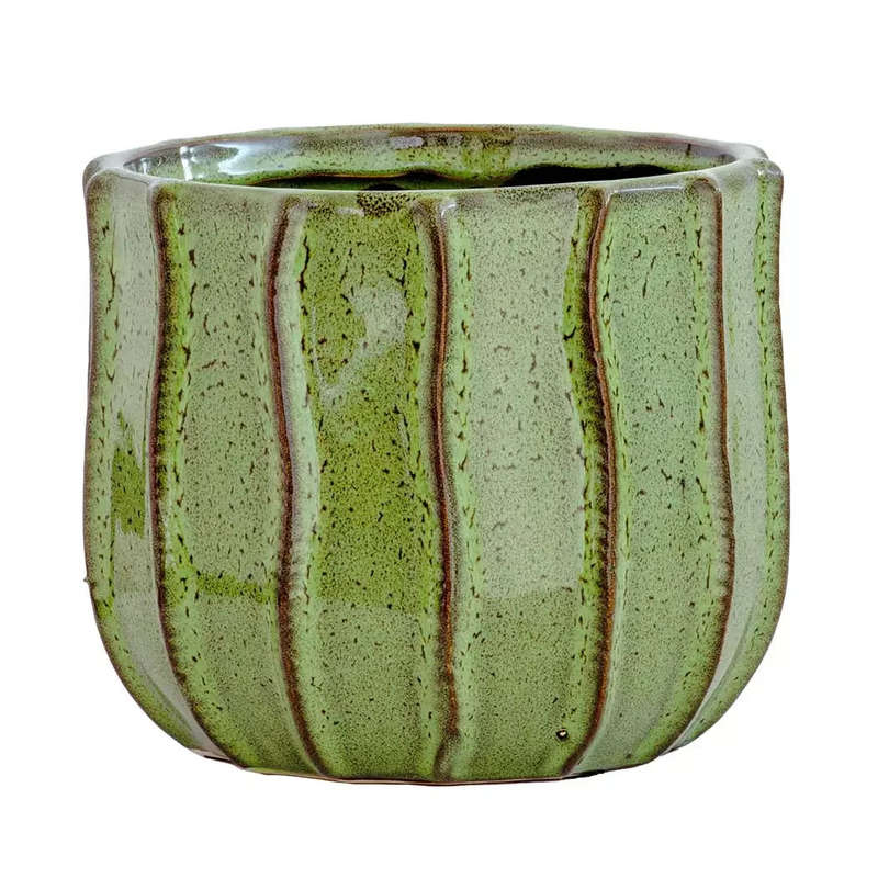 Planter - Ceramic Green Cacti 15cm