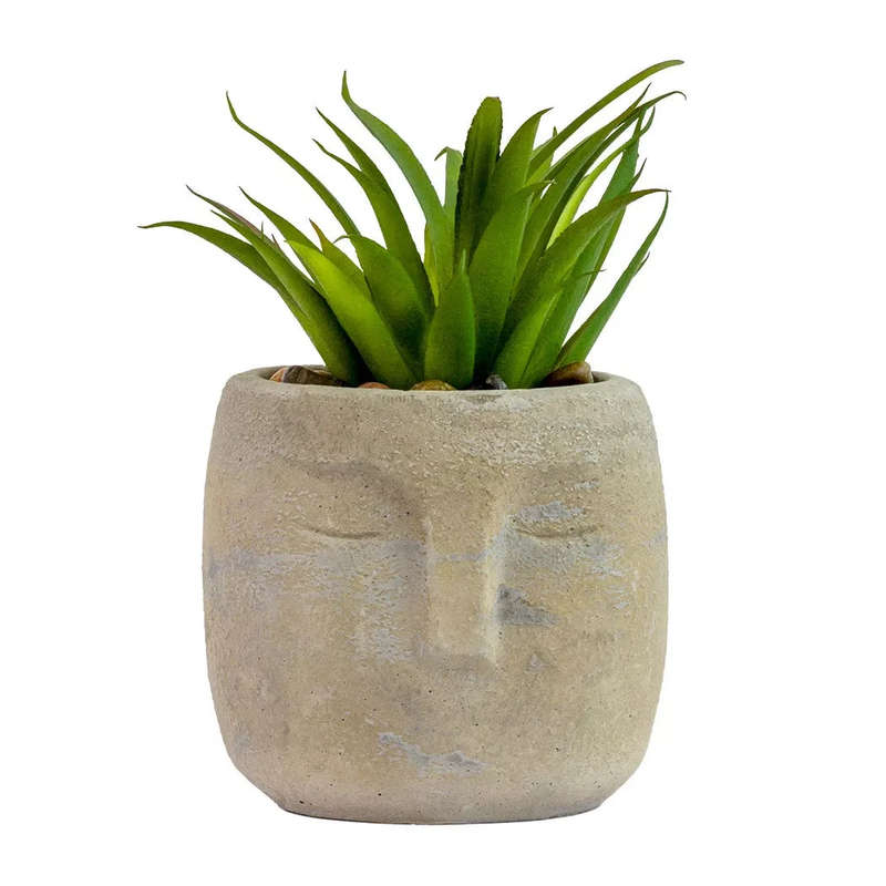 Potted Face Planter - Polynesia