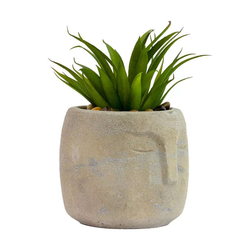 Potted Face Planter - Polynesia