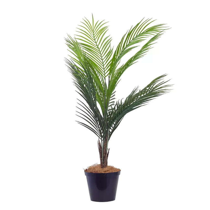 Potted Palm - 85cm