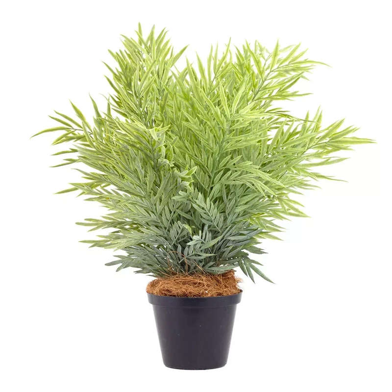 Potted Plant - Dreamy 42cm